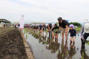 田植え体験交流会１